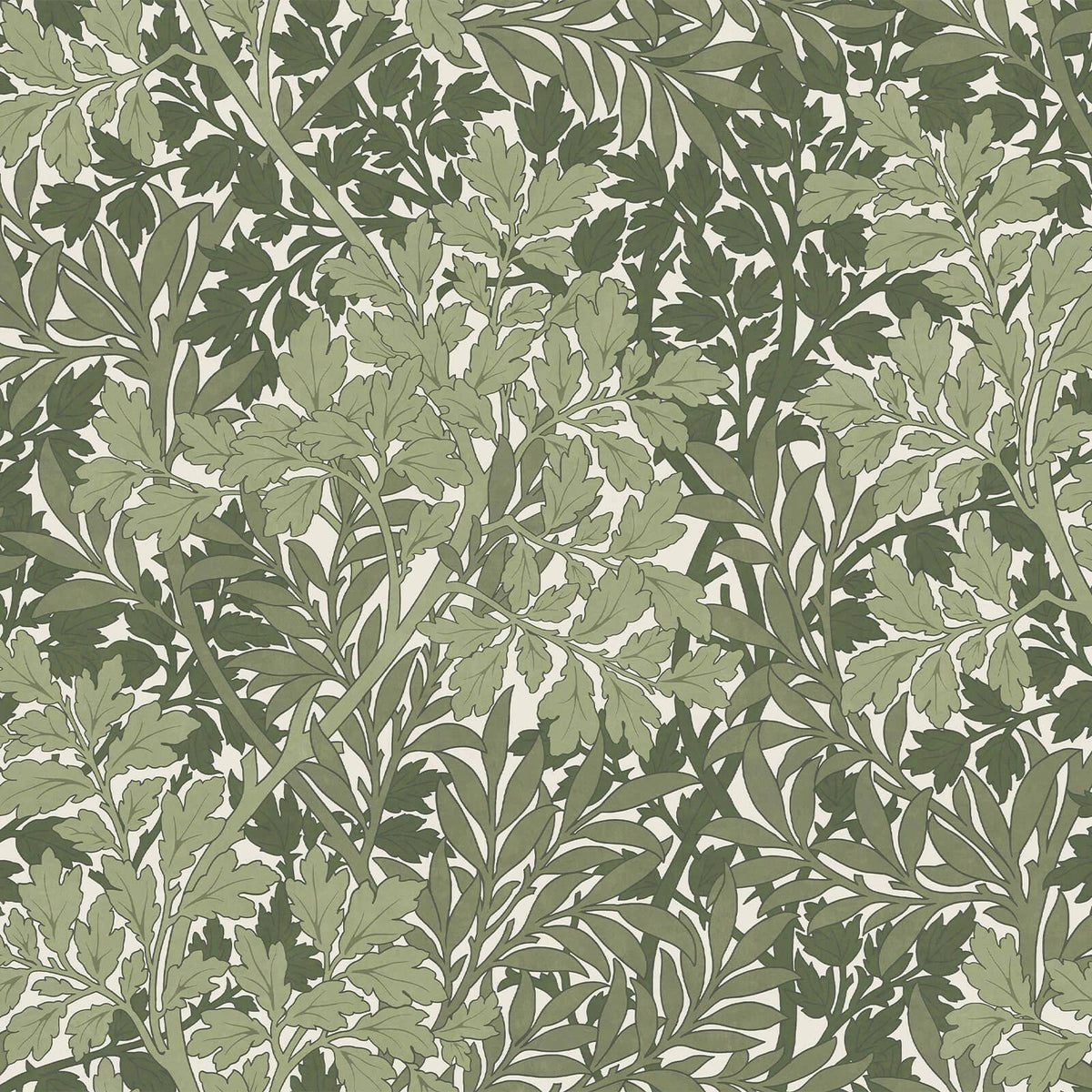 Foliage Magna
