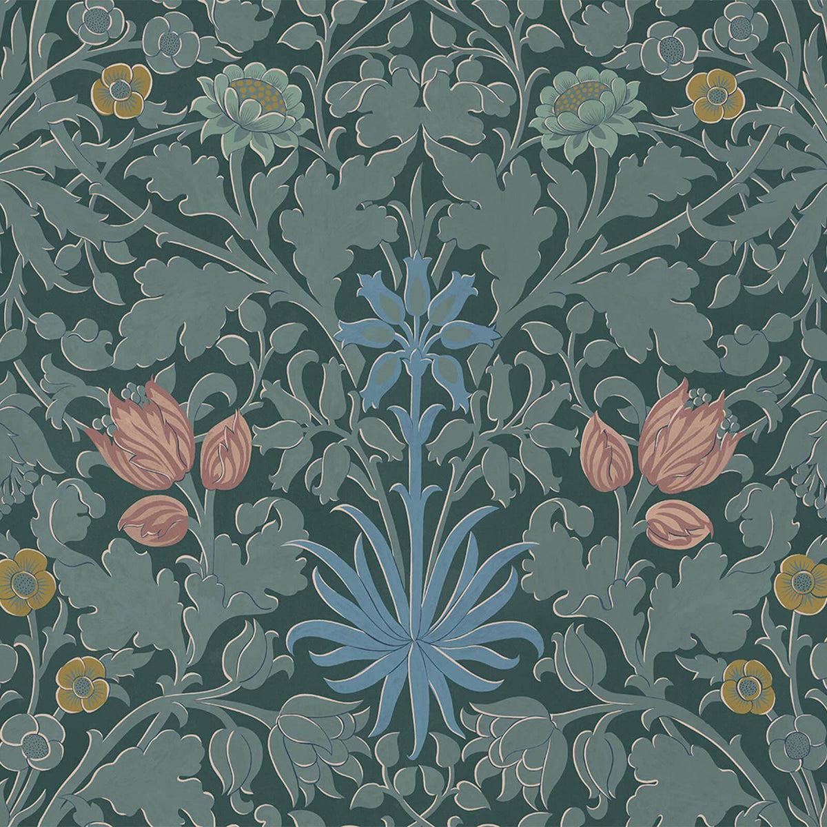 Hyacinth Novellus