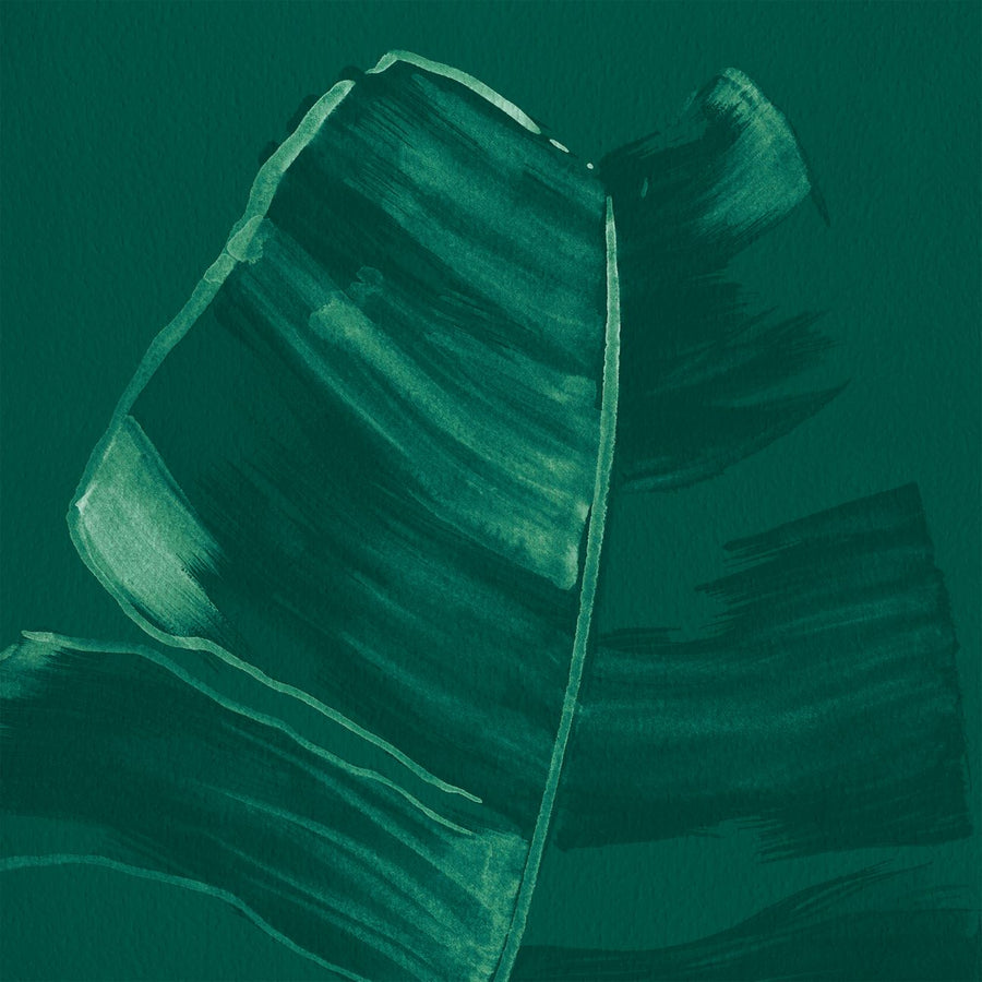 Paradiso