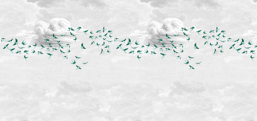 Swallow Cloud