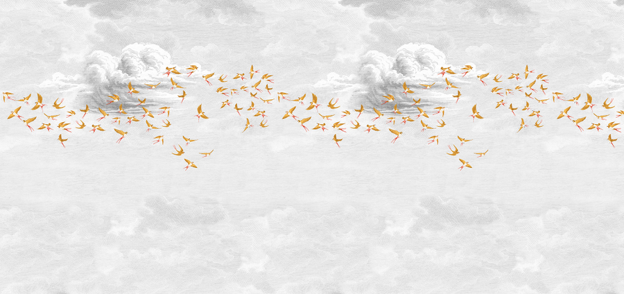 Swallow Cloud
