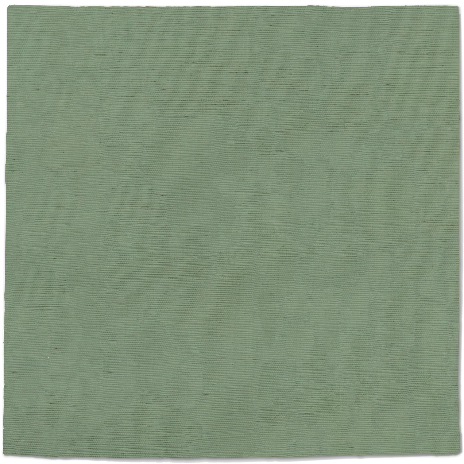 eg1.webp