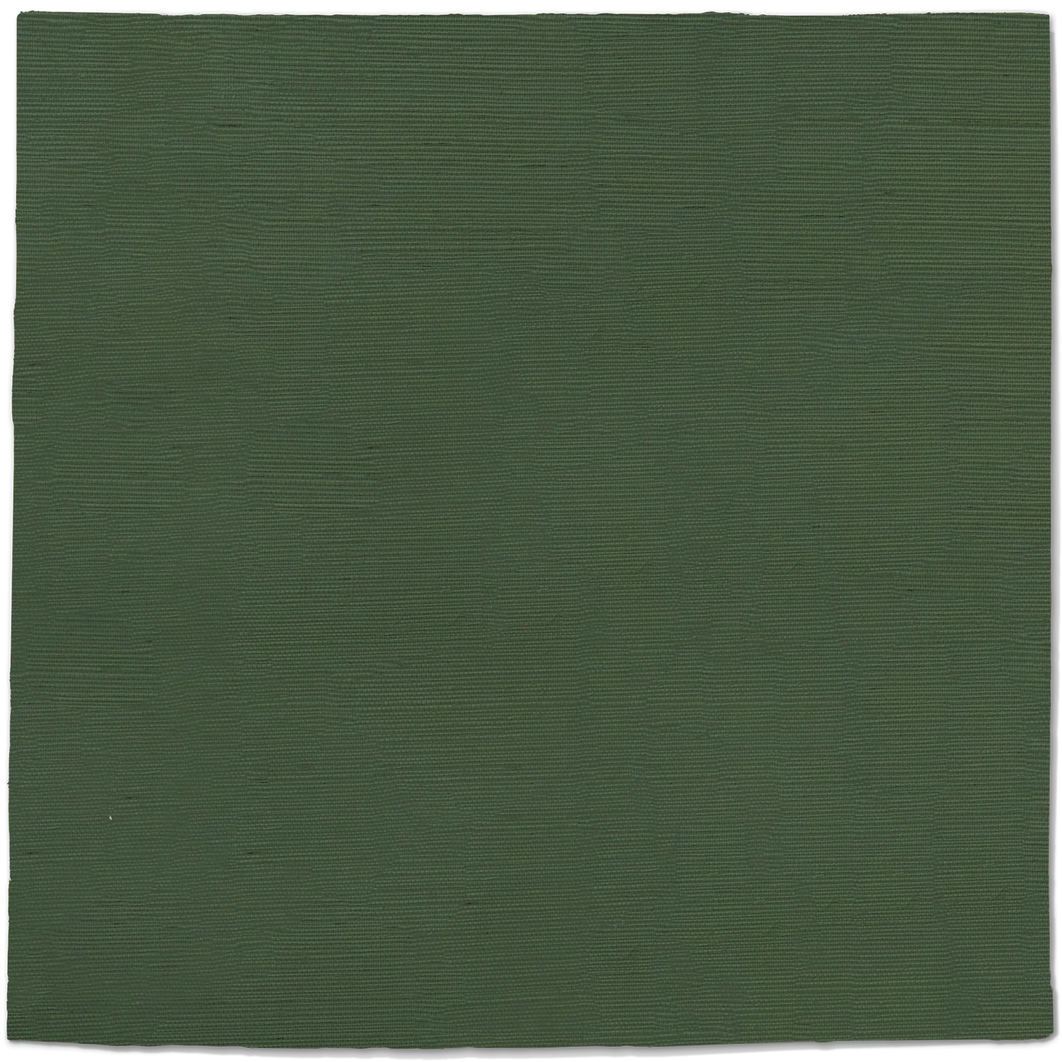 fe1.webp