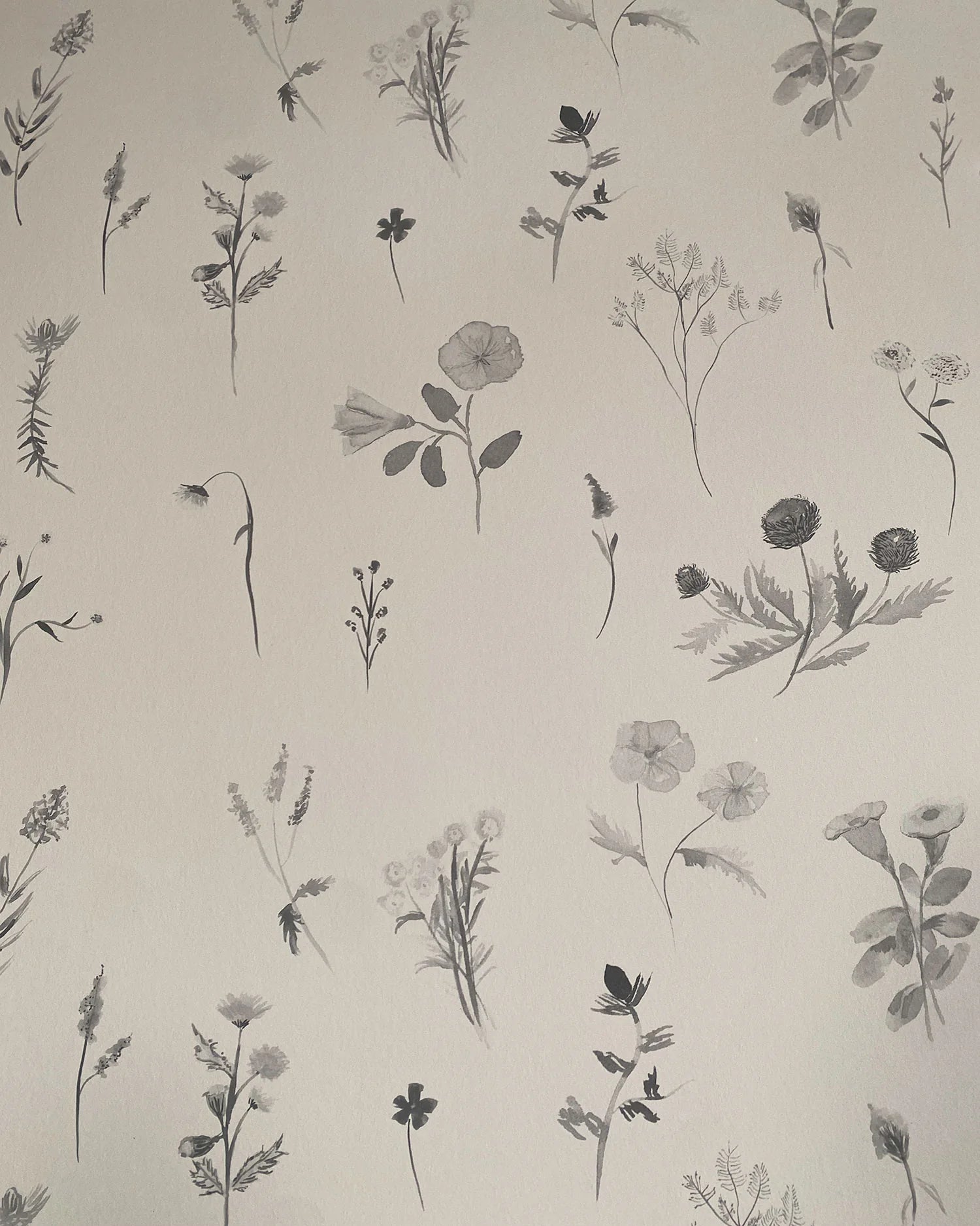 Meadow