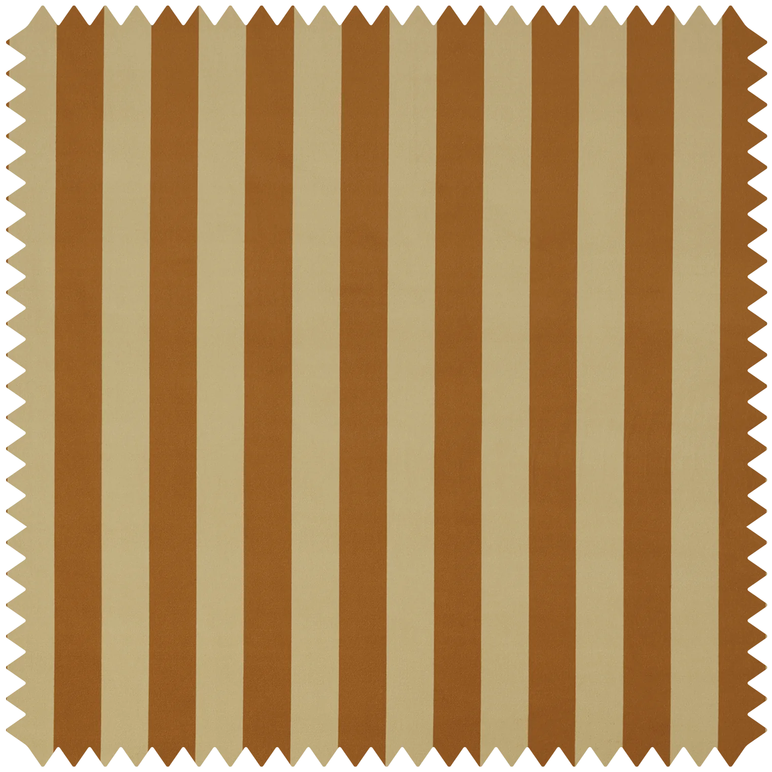 ginger_vel1.webp