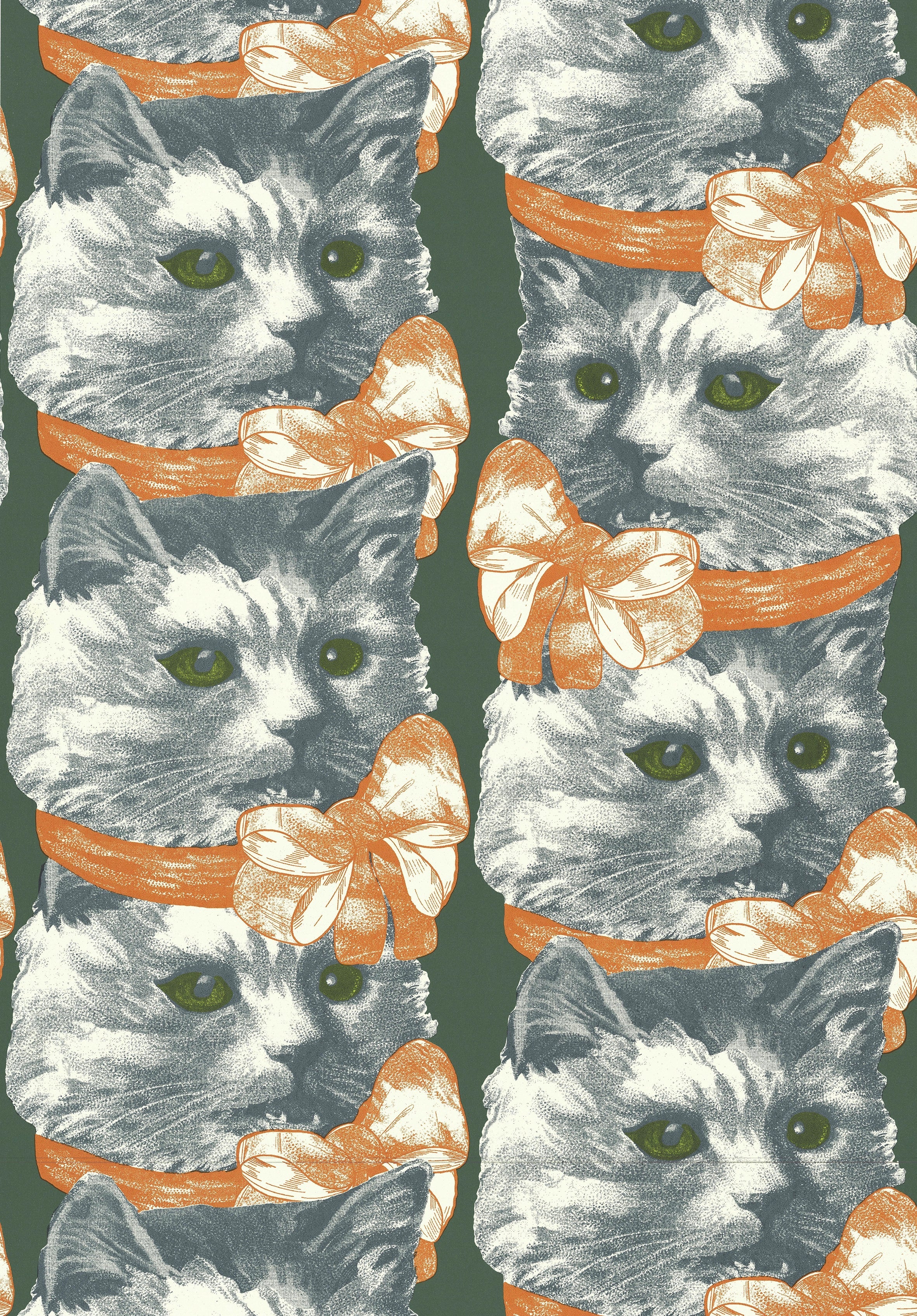 Crazy Cat Lady