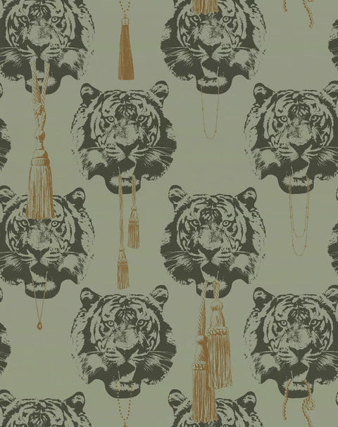 Coco Tiger