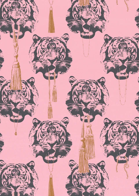 Coco Tiger