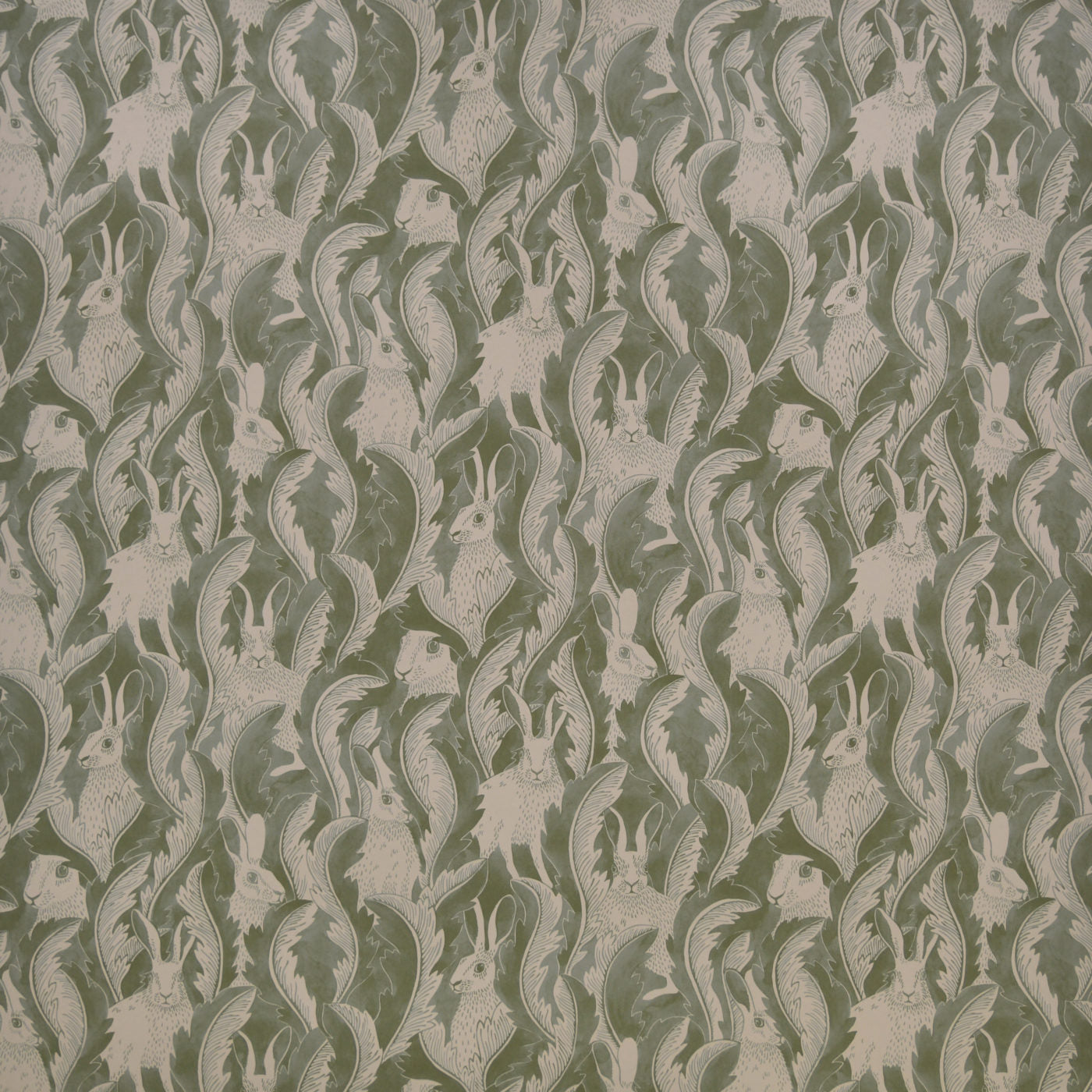 Hares In Hiding