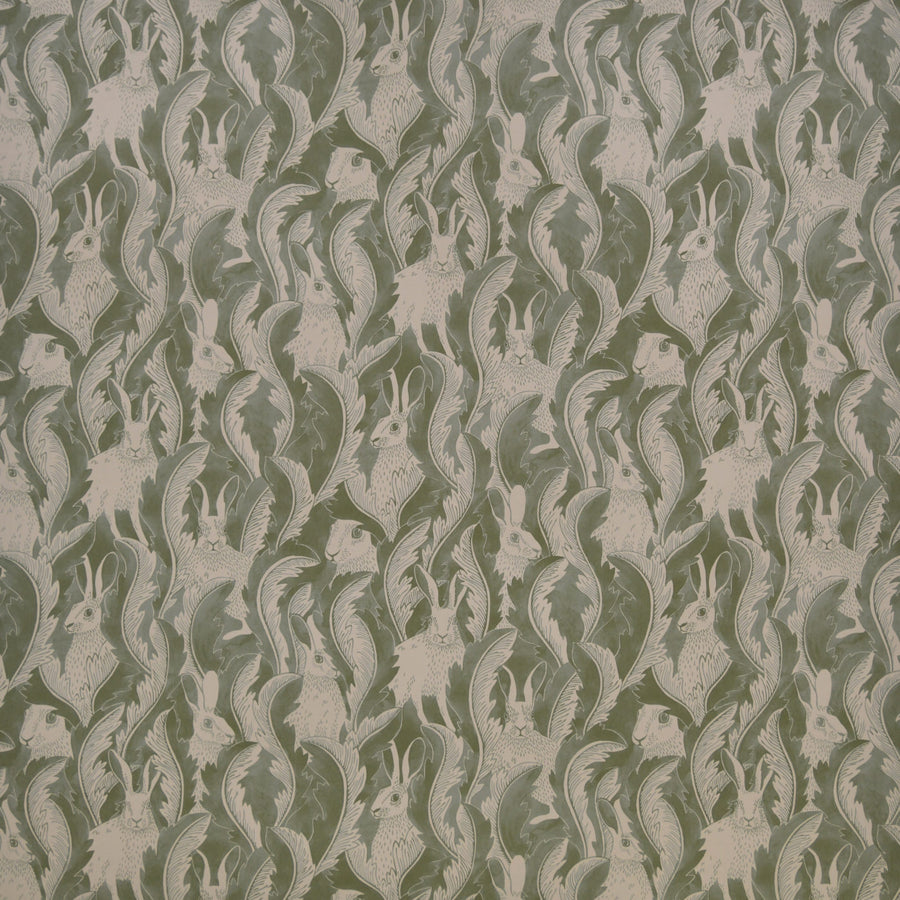 Hares In Hiding