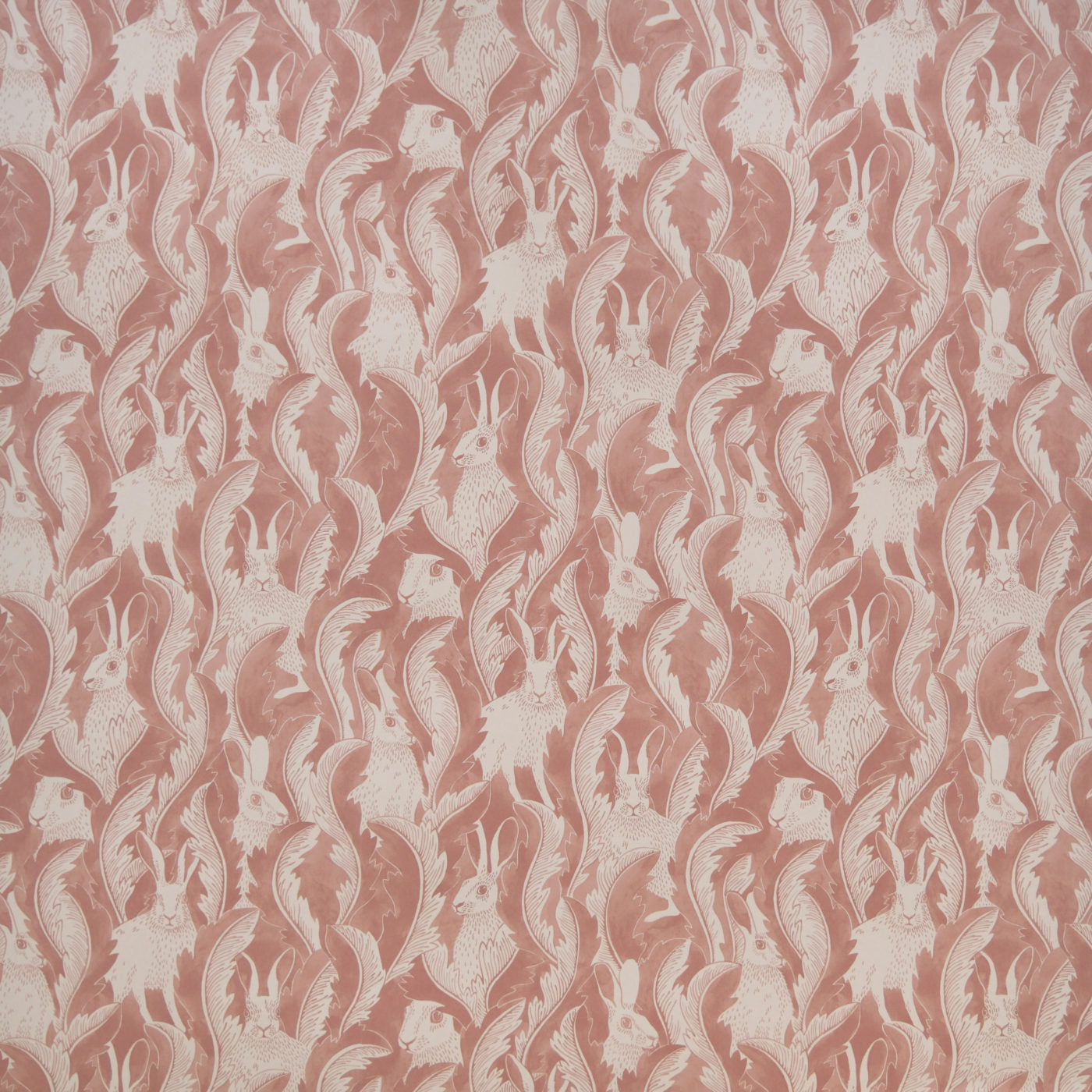 Hares In Hiding