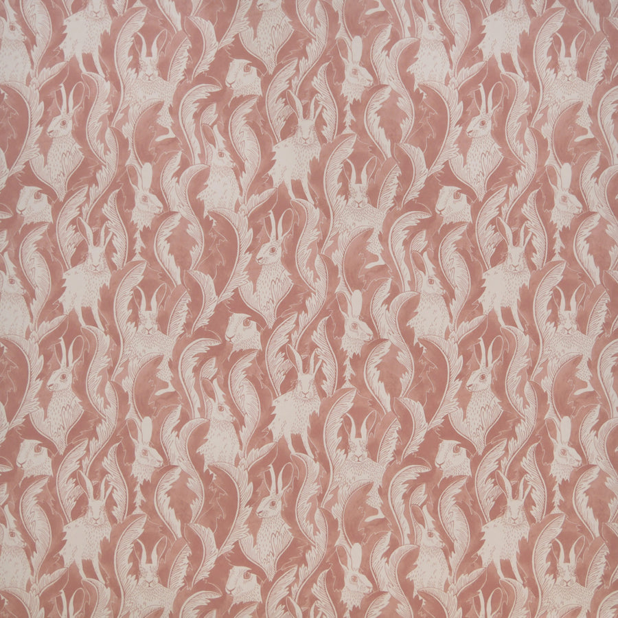 Hares In Hiding