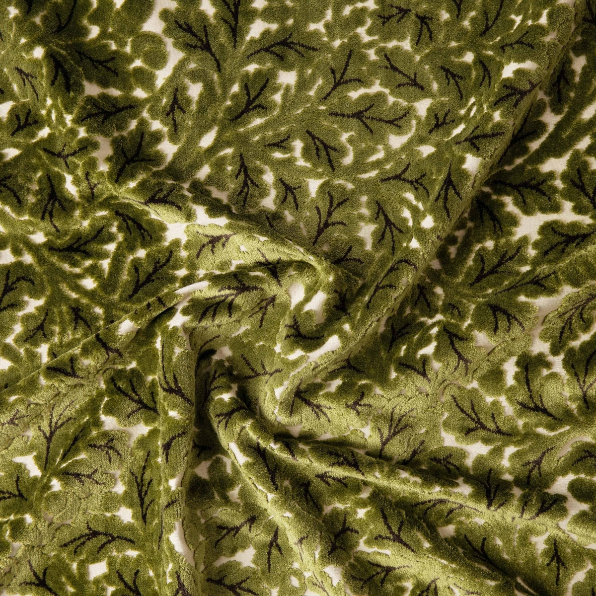 Quercus Velvet Jacquard Fabric