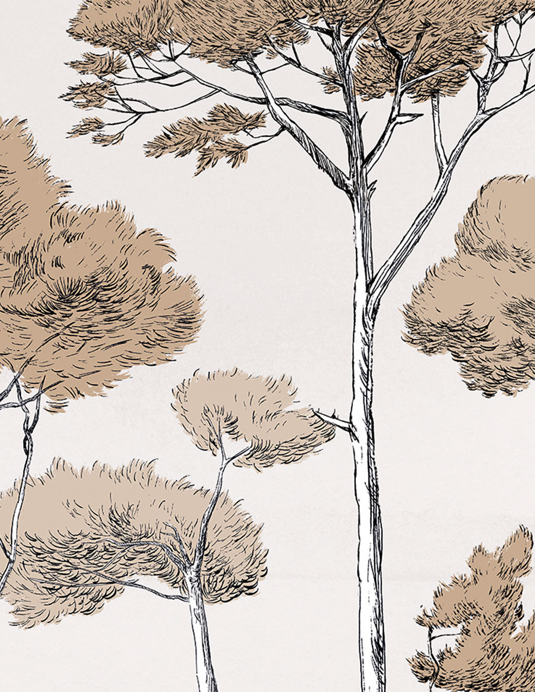 Under The Pines (Sous Les Pins)