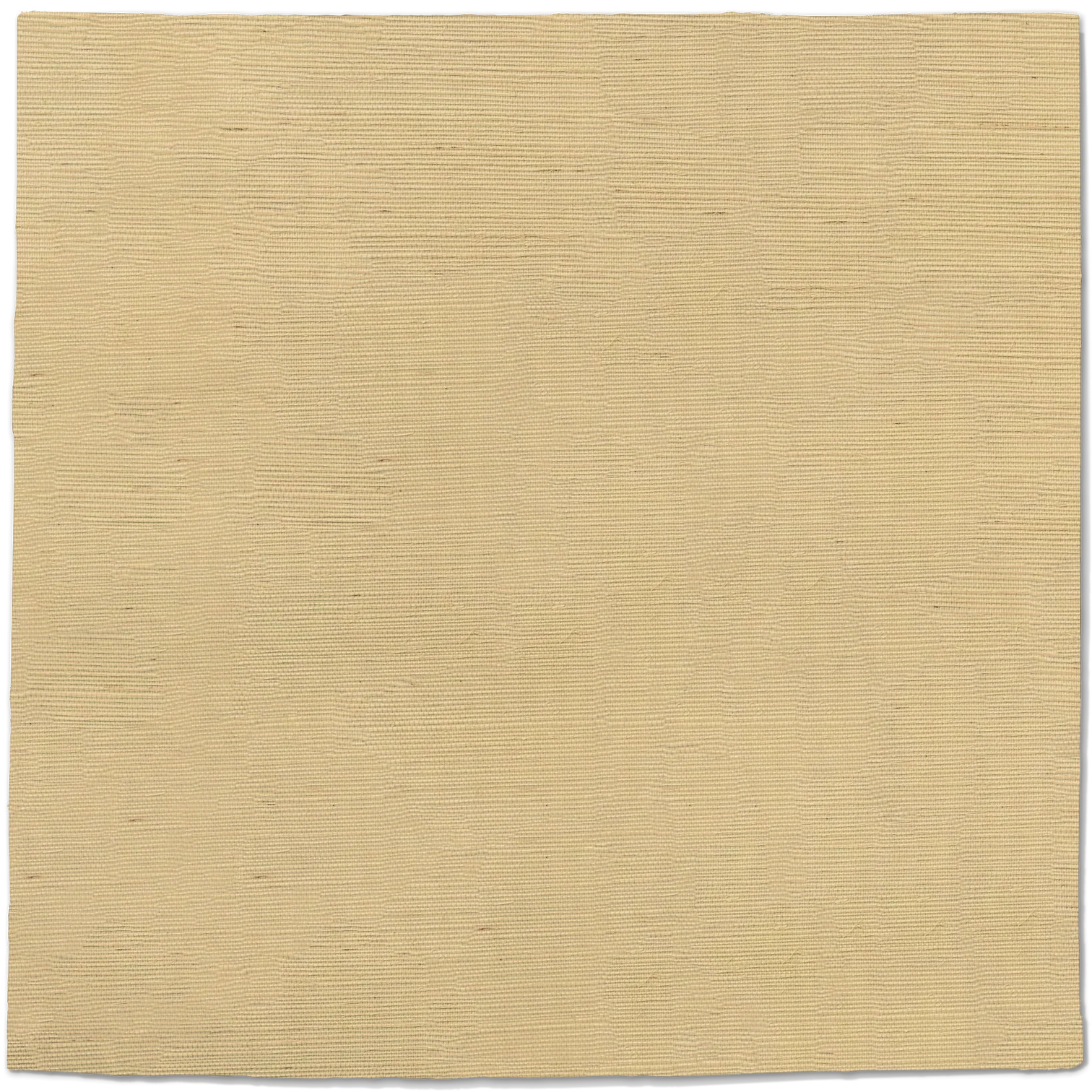 sp1_e772ce28-51c7-47aa-9248-e6ac78d99267.webp