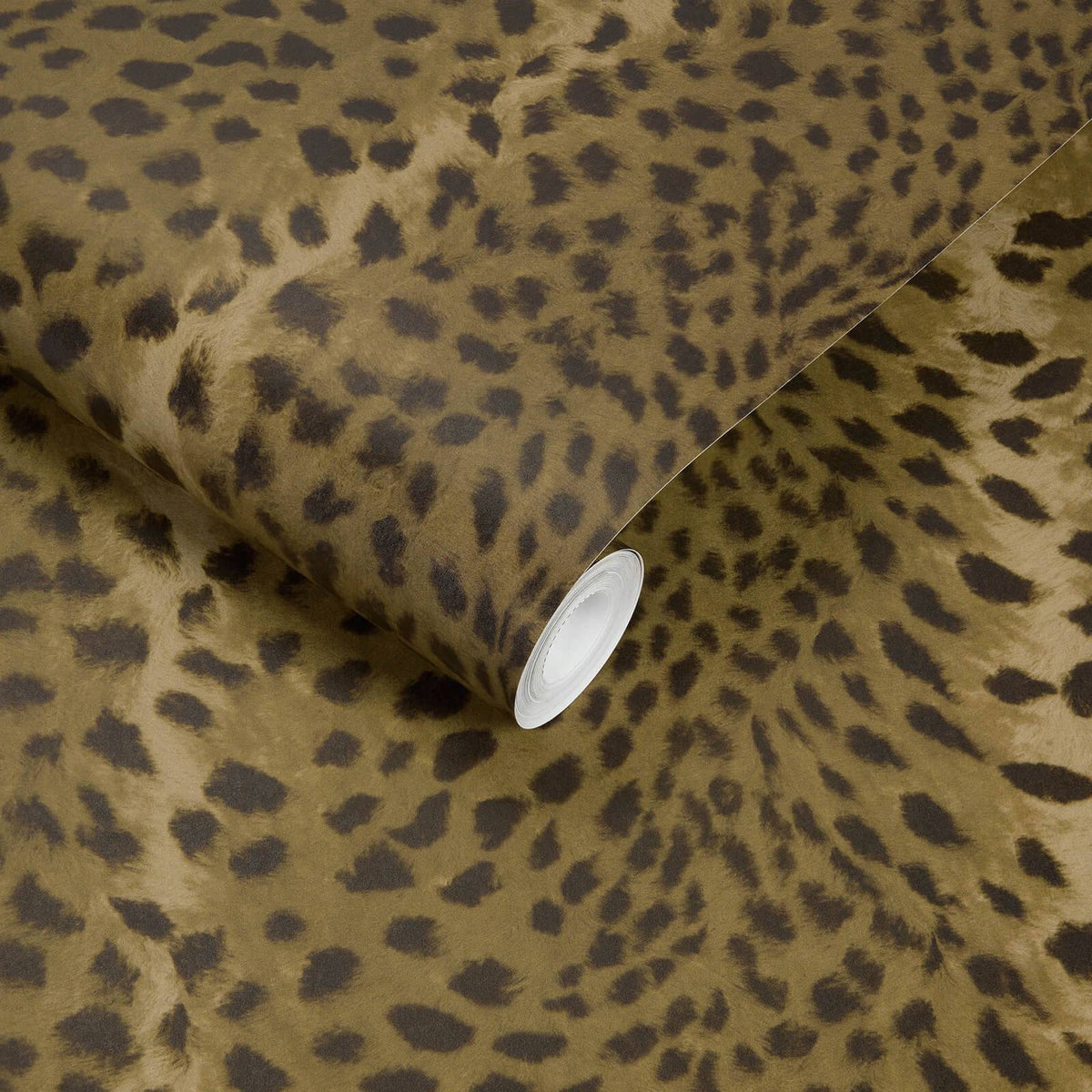 Savanna