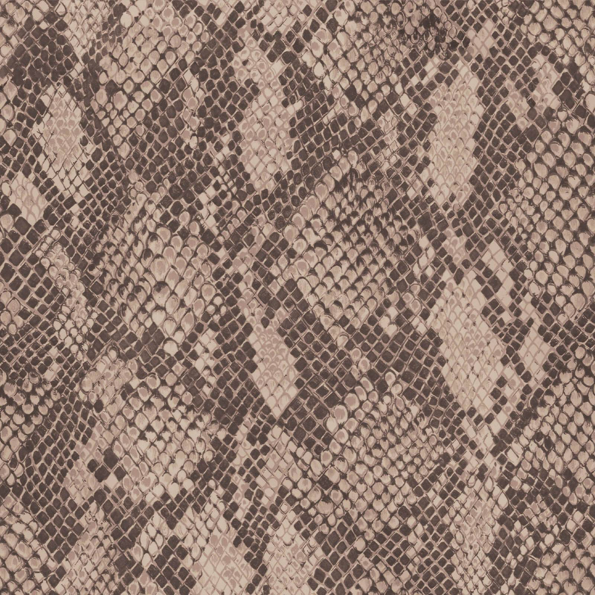 Cobra