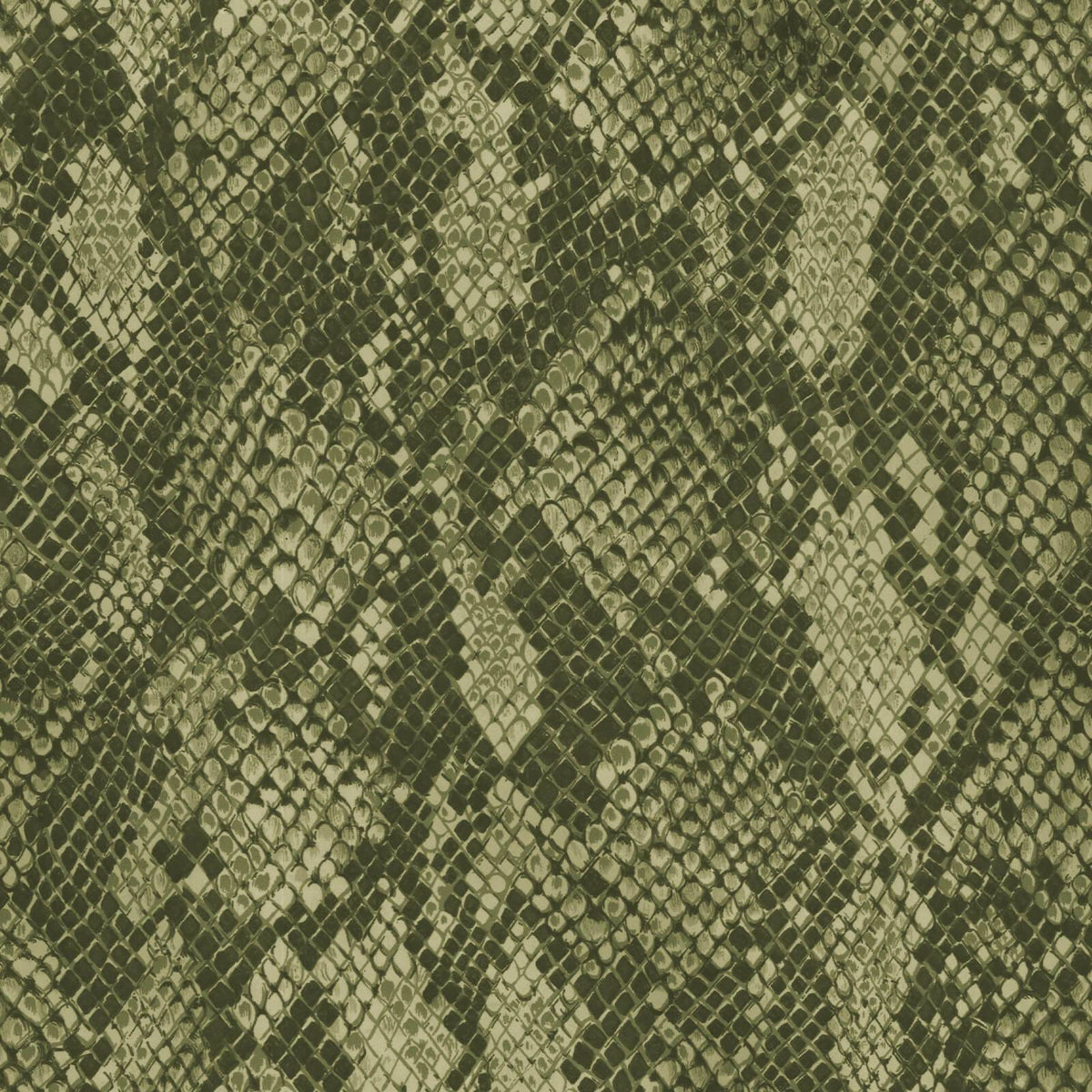 Cobra