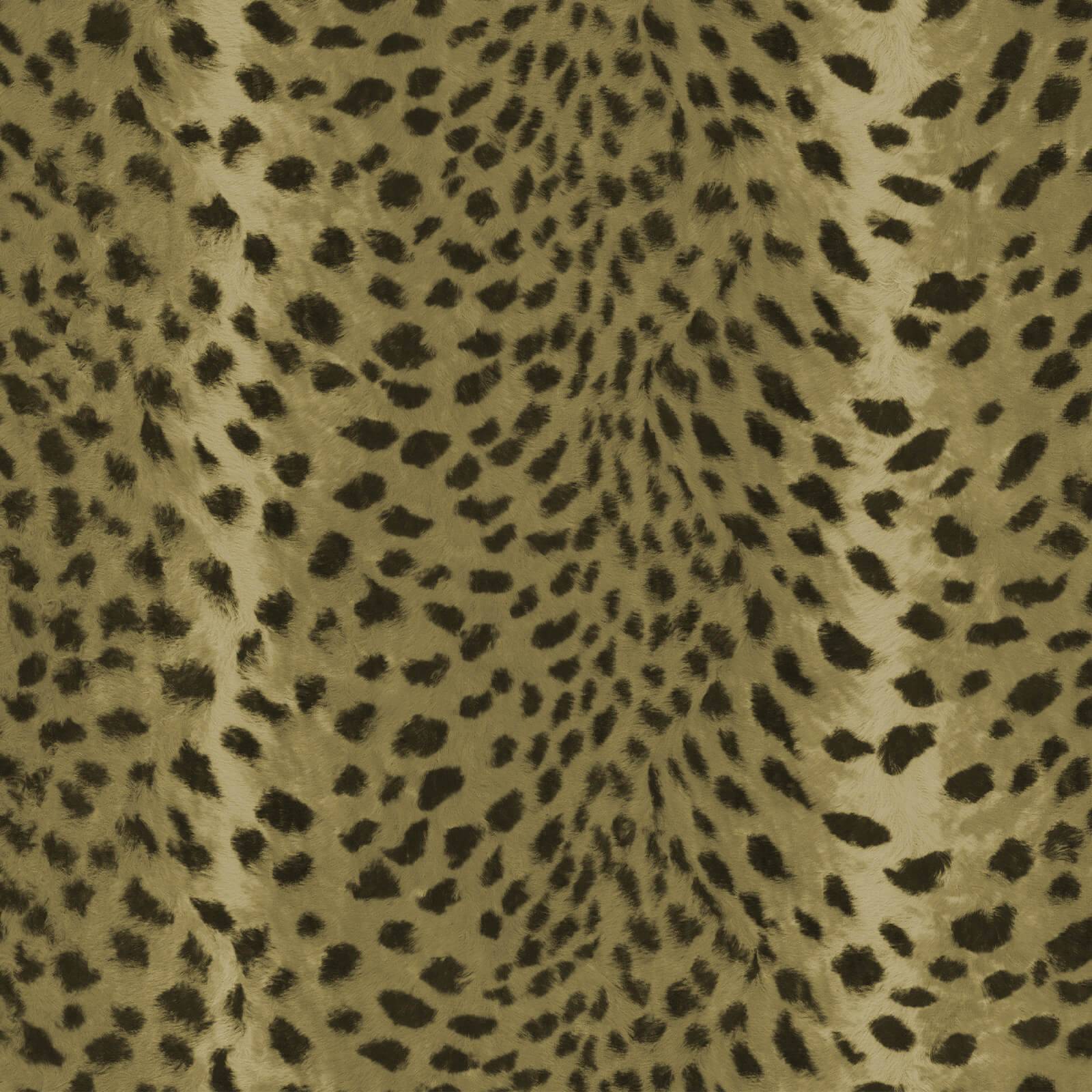 Savanna