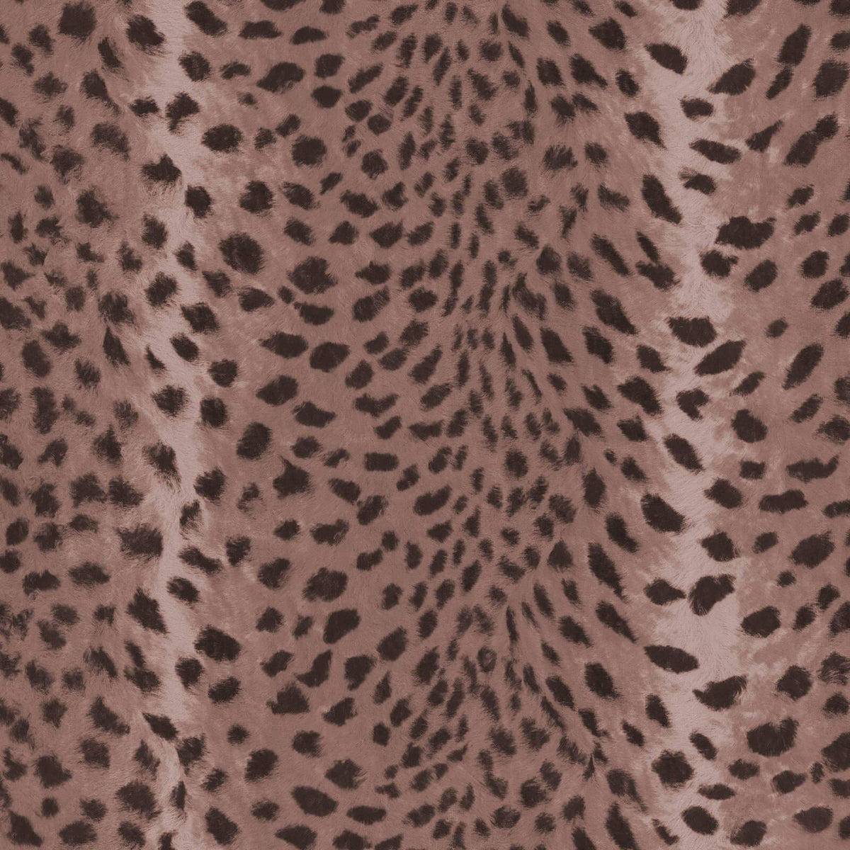 Savanna