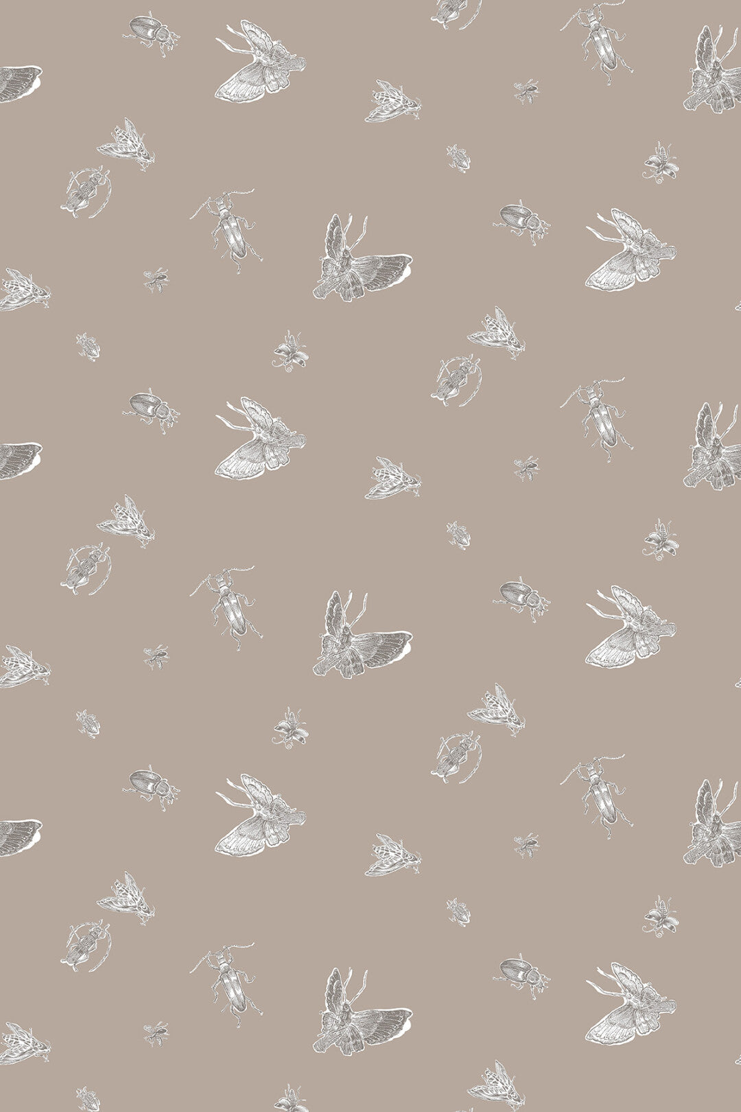 Insect – Walnut Wallpaper