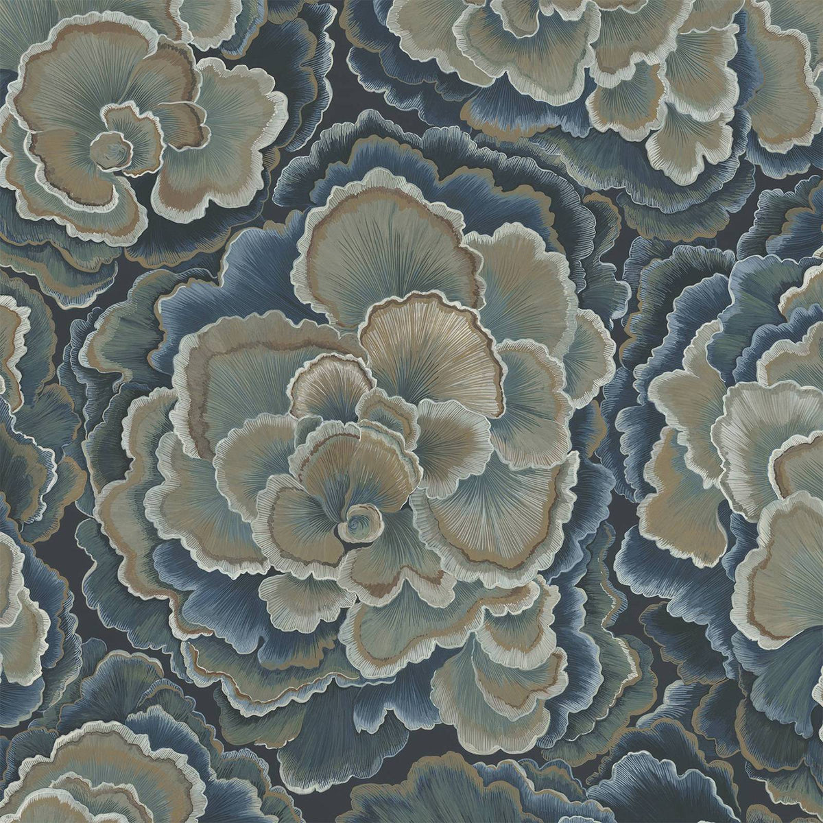 Trametes Carex Wallpaper House of Hackney