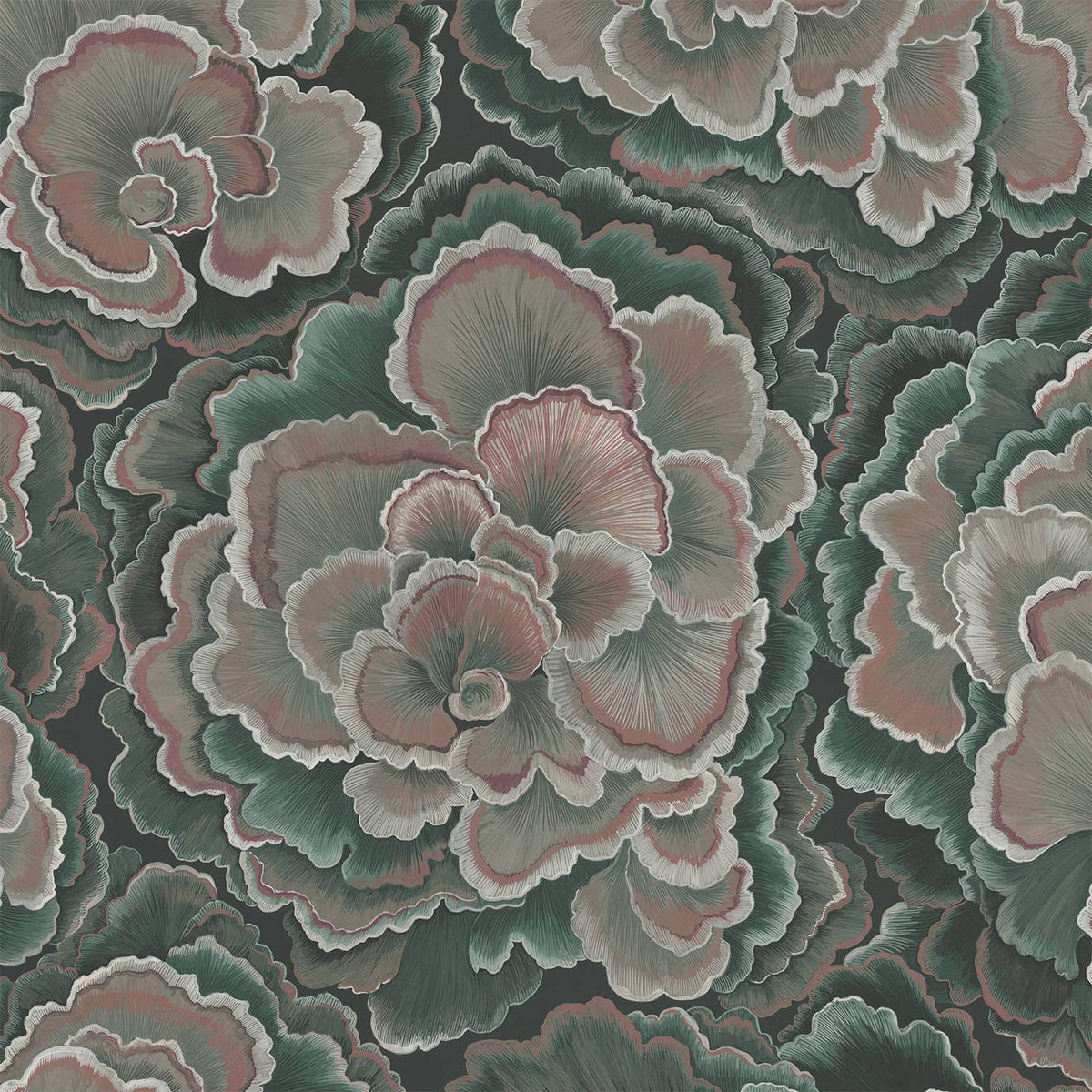 Trametes Hosta Wallpaper House of Hackney