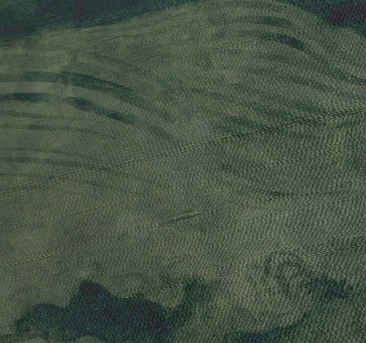 Kelp