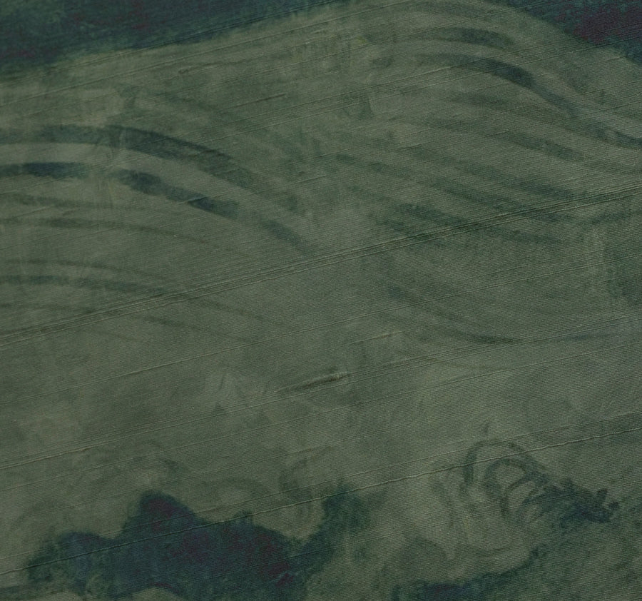 Kelp