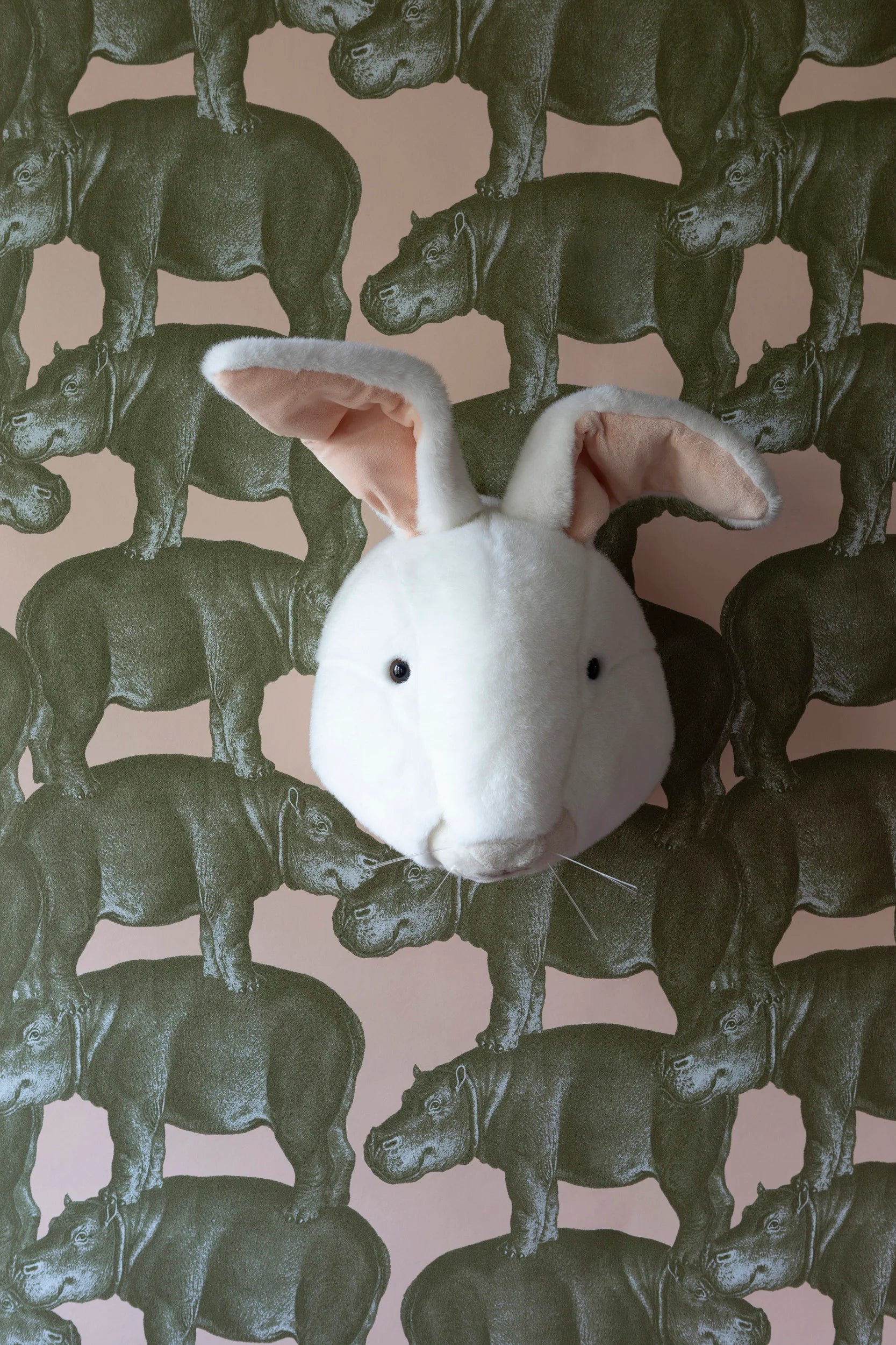 Hippo