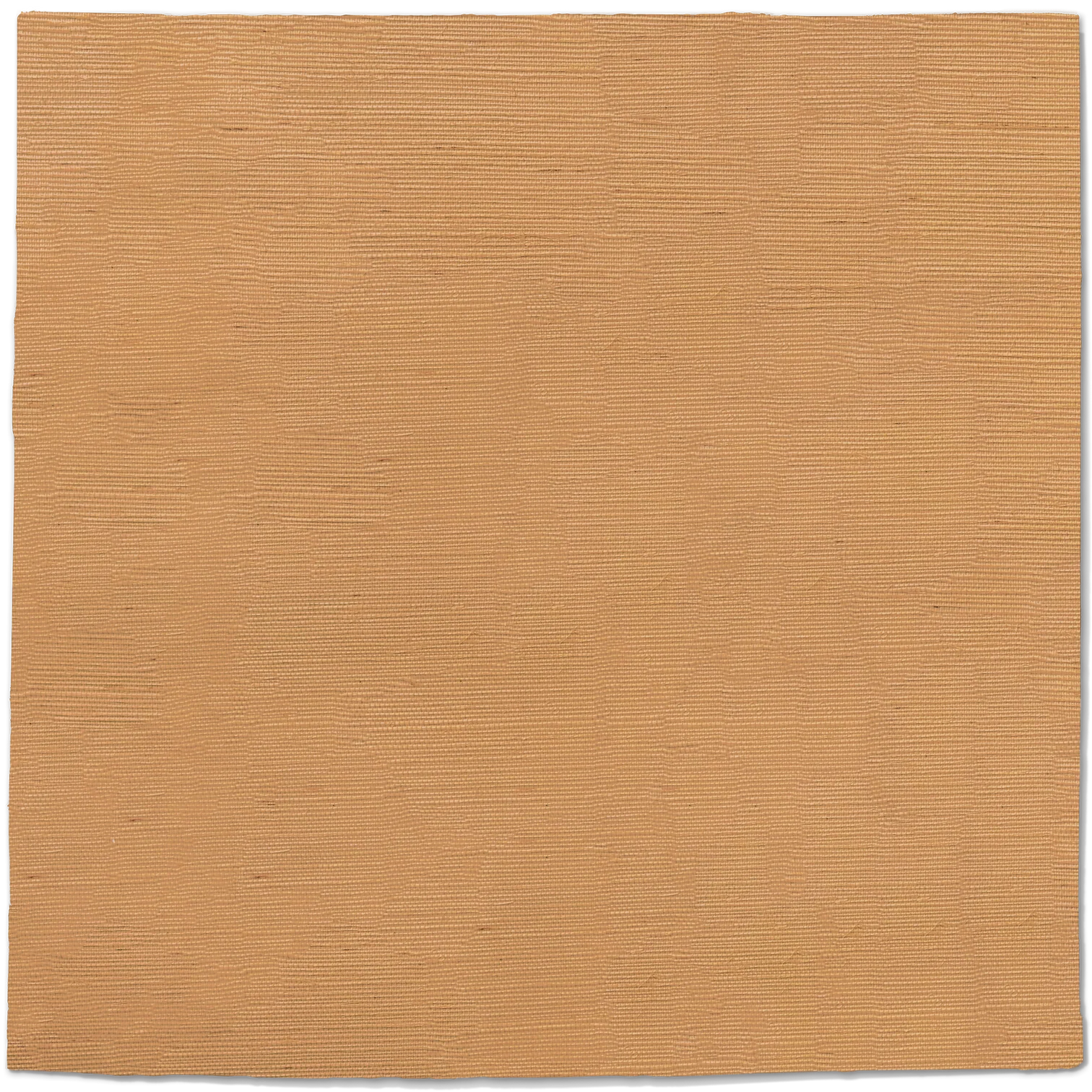 zc1.webp