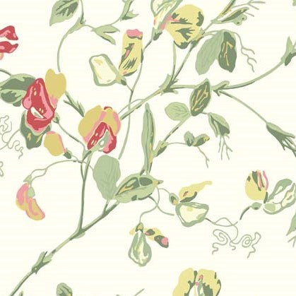 Blush & Olive on Cream