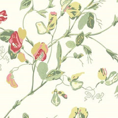 Blush & Olive on Cream