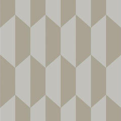 Grey & Warm Silver