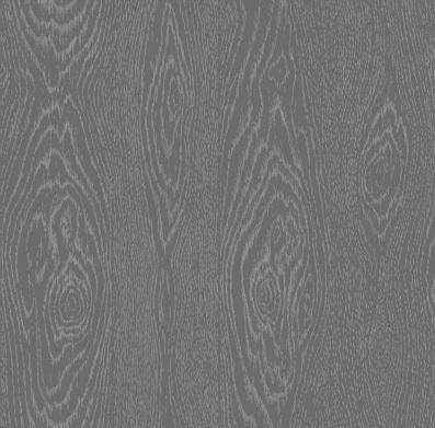 Silver on Charcoal