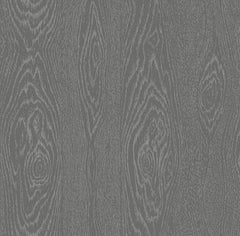 Silver on Charcoal