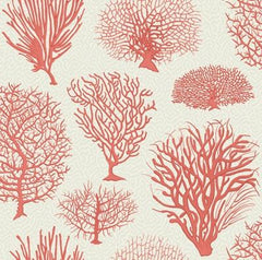Coral on Beige