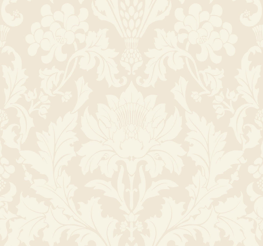 Cream & Beige
