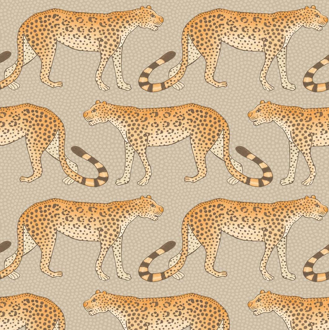 Orange on Taupe
