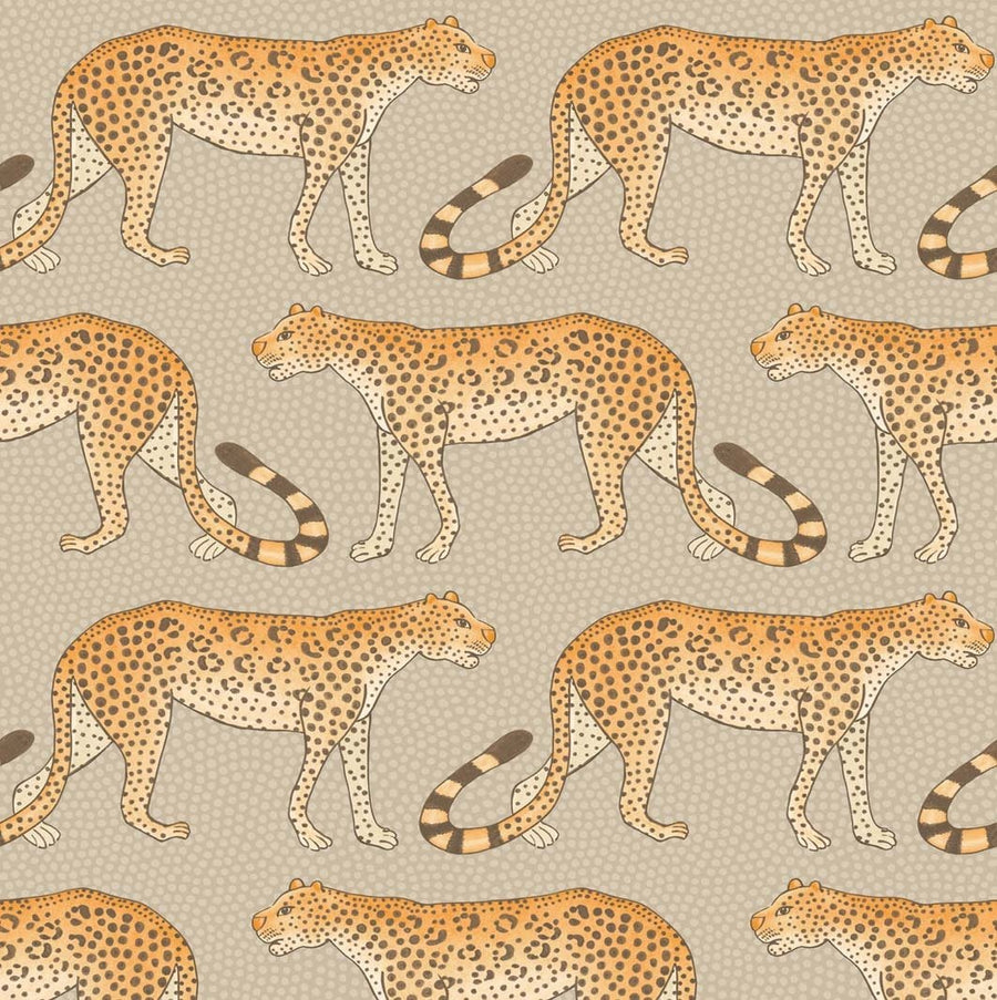 Orange on Taupe