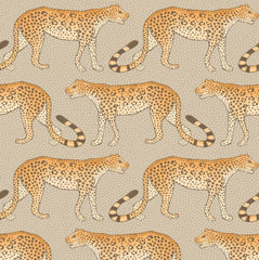 Orange on Taupe