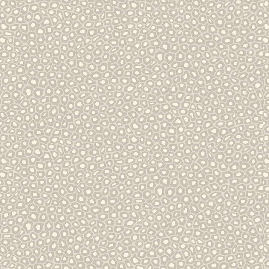 White Spots on Light Grey