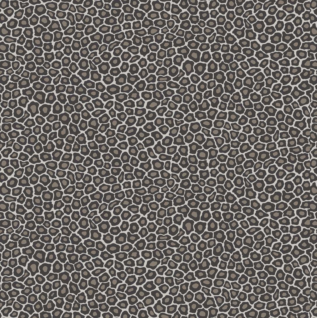 Black Spots on Silver