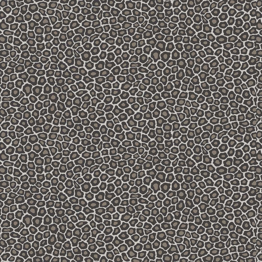 Black Spots on Silver