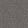 Black Spots on Silver