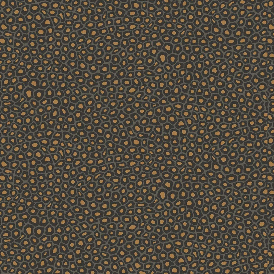Gold Spots on Black