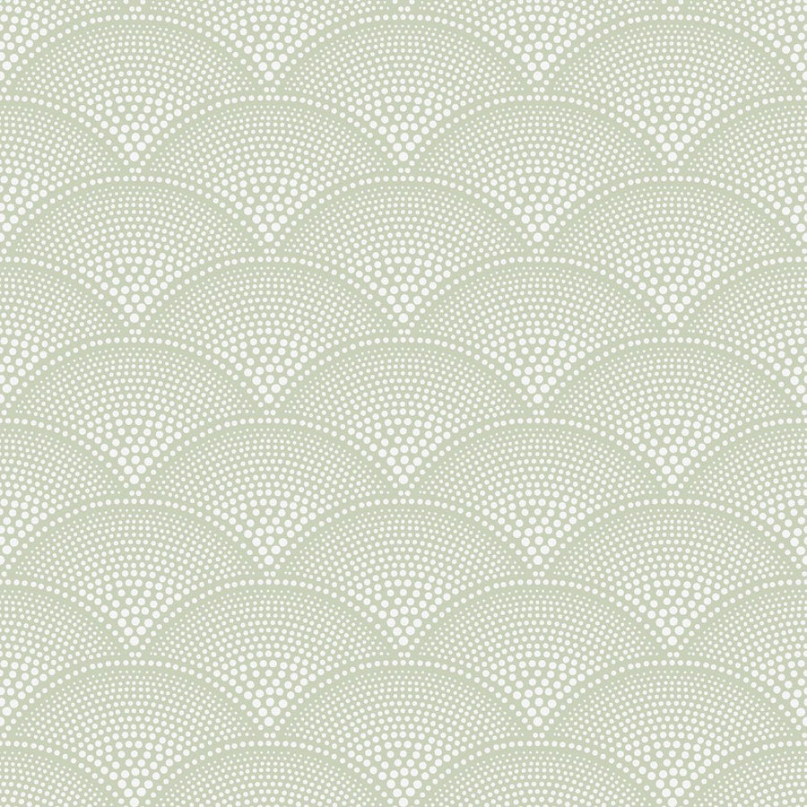 White on Pale Olive Green
