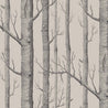 Charcoal on Beige