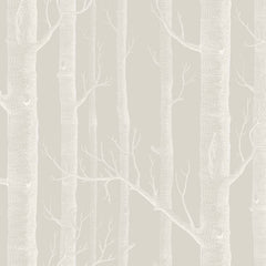 White on Stone