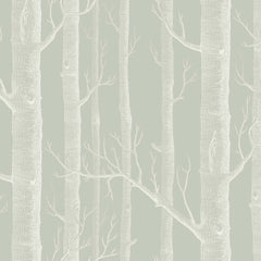 White on Light Olive Green